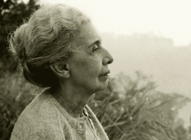 Imagem Entre o abandono, o delírio e a falha do cuidado: uma leitura psicanalítica sobre a morte de Gerson